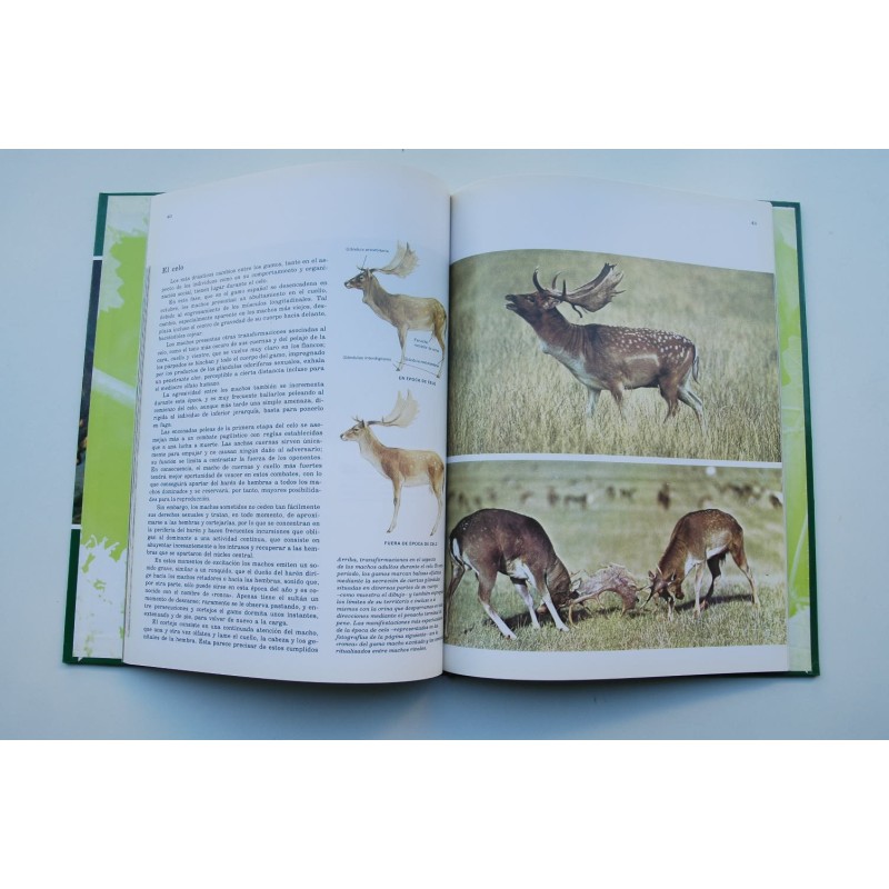 Fauna ibérica