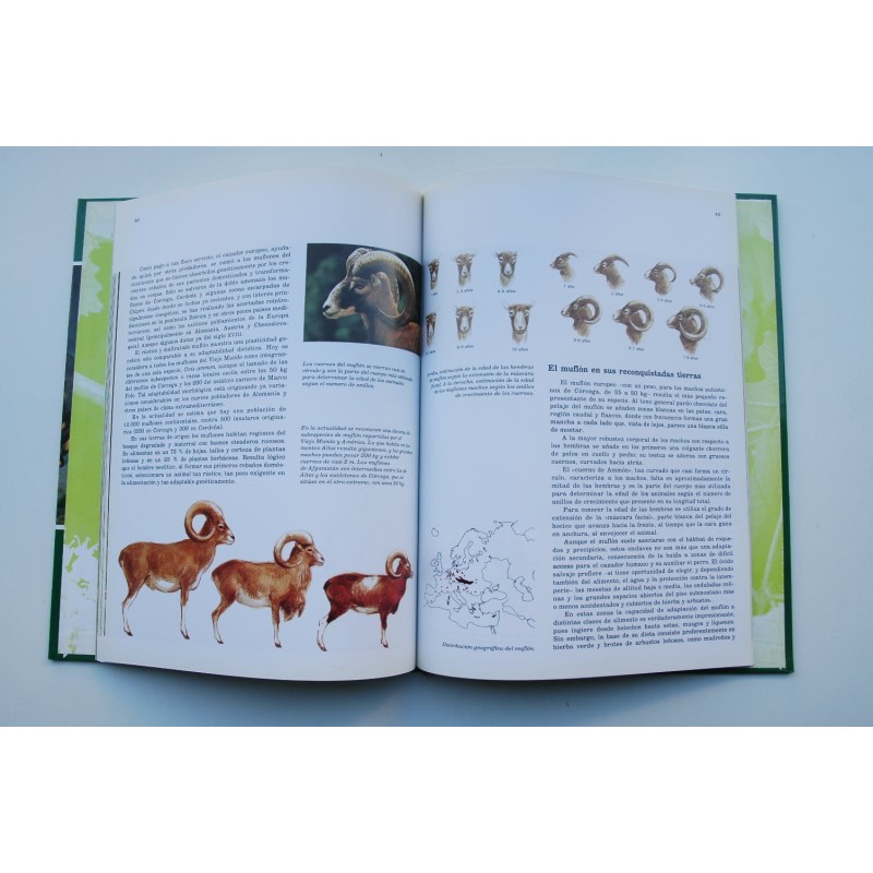 Fauna ibérica