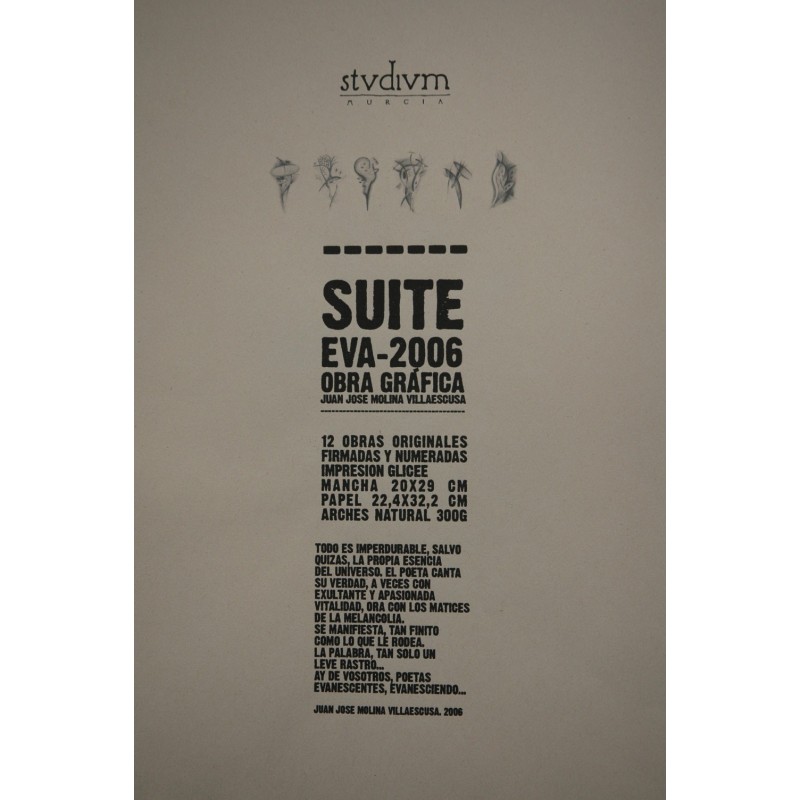 Suite EVA-2006 : obra gráfica