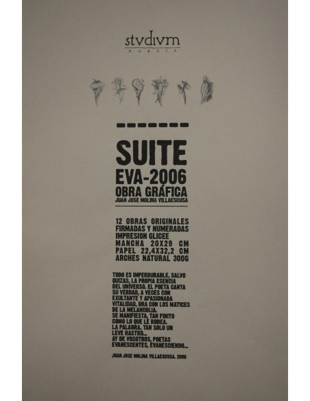 Suite EVA-2006 : obra gráfica