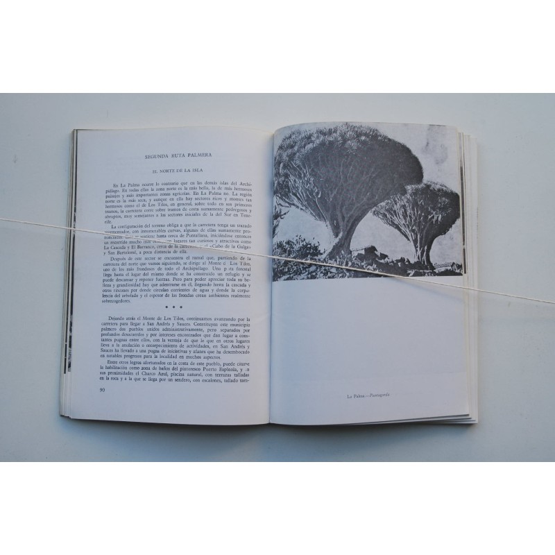 Rutas de España. Islas Canarias