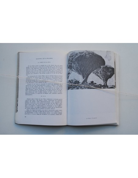 Rutas de España. Islas Canarias