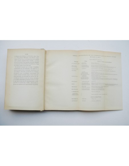 Guías geológicas de las lineas férreas de España. Madrid - Irún