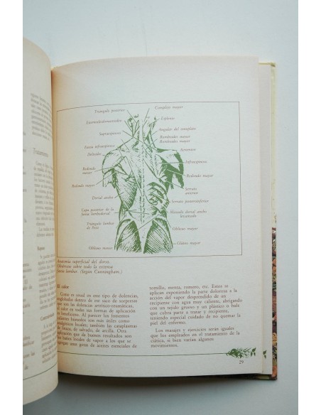 Medicina natural. Reumatismo, artrosis y lumbalgias