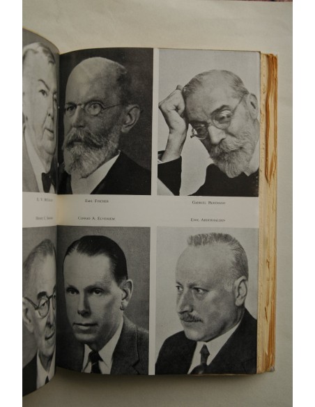 Los grandes descubrimientos en el campo de la alimentación