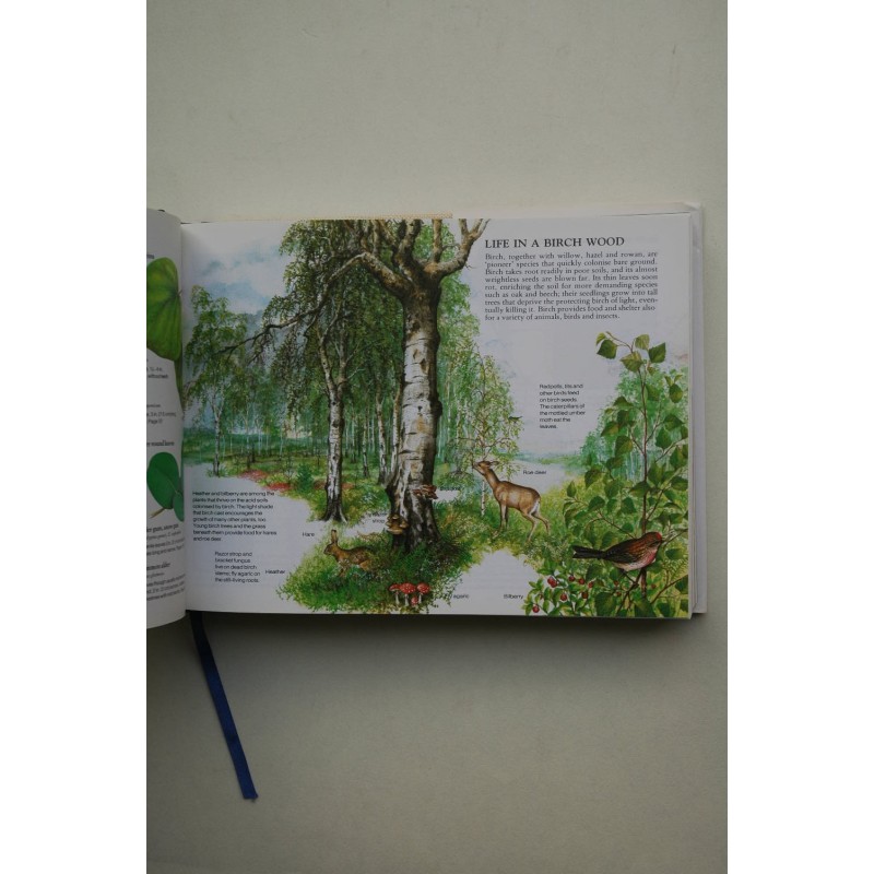 Field guide to trees and shrubs of Britain