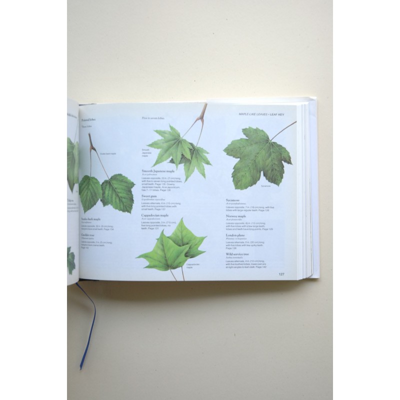 Field guide to trees and shrubs of Britain