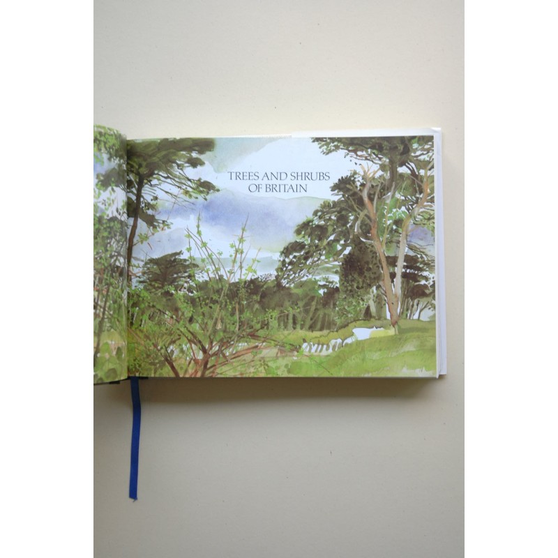 Field guide to trees and shrubs of Britain