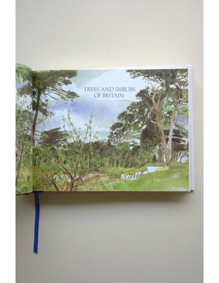 Field guide to trees and shrubs of Britain