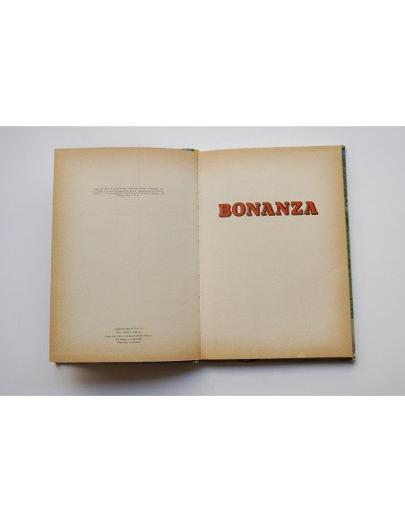 Bonanza : incidente en La Ponderosa