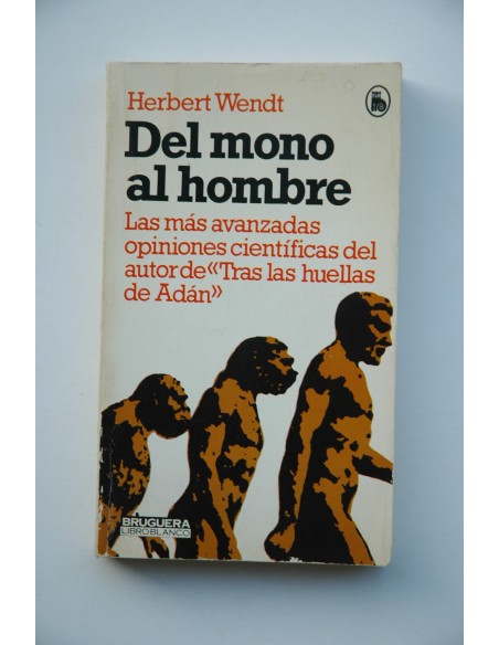 Del mono al hombre 