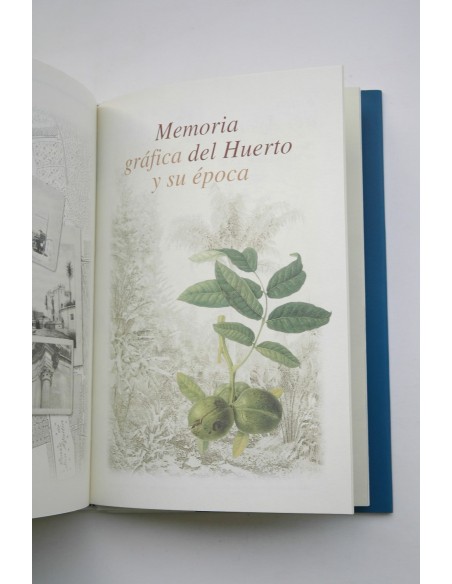 Un huerto árabe en la Arrixaca