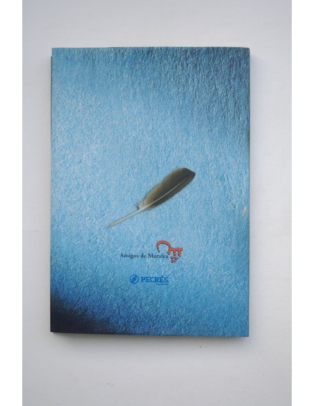 Un huerto árabe en la Arrixaca