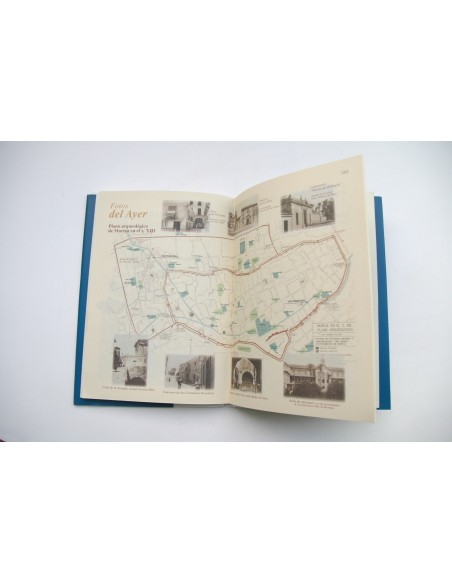 Un huerto árabe en la Arrixaca