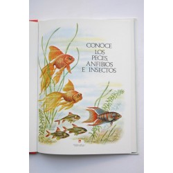 Conoce los peces, anfibios e insectos 2