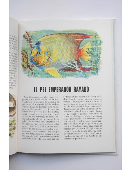 Conoce los peces, anfibios e insectos