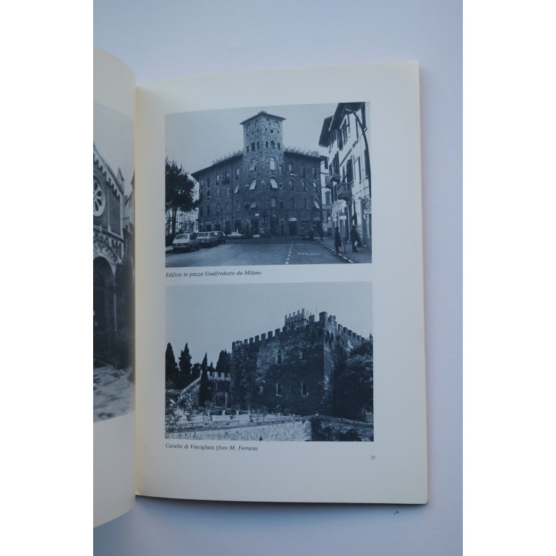 TESTIMONIANZE neomedievali a Firenze : mostra...
