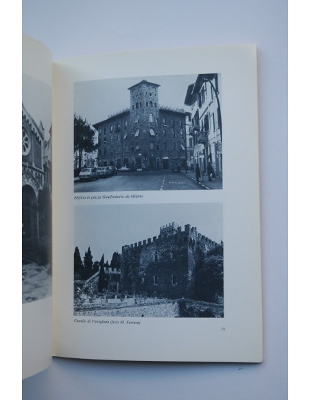 TESTIMONIANZE neomedievali a Firenze : mostra fotografica a cura di Maria Cristina Tonelli e Carlo Camarlinghi