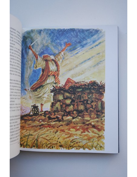 La Biblia de los jóvenes ilustrada
