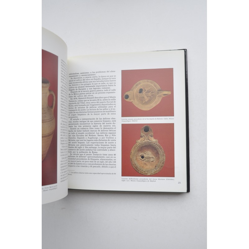 Las raices del aceite de oliva