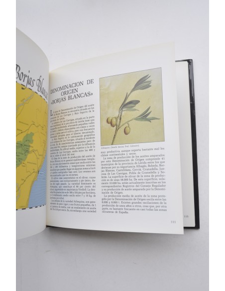 Las raices del aceite de oliva