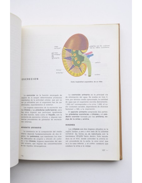 Ciencias de la naturaleza y su didáctica