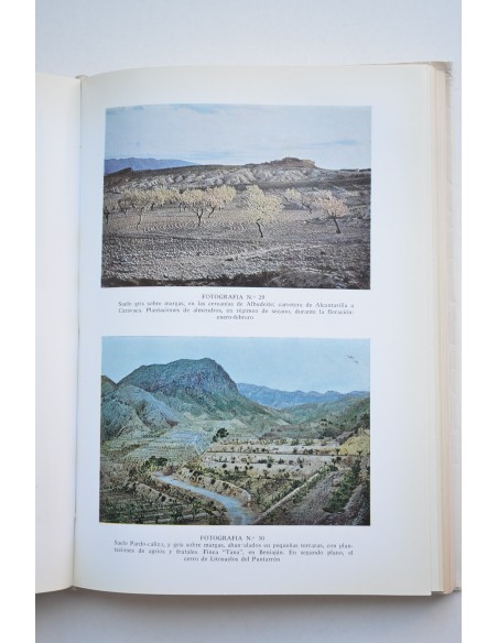 Estudio edafológico y agrobiológico de la Provincia de Murcia