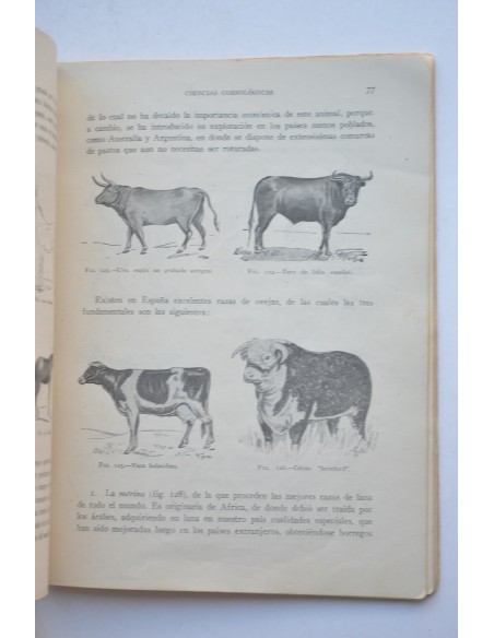 Ciencias cosmológicas. Primer curso