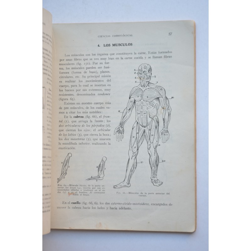 Ciencias cosmológicas. Primer curso