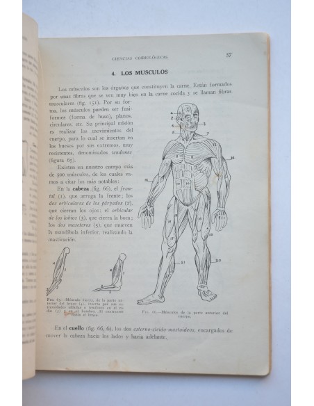 Ciencias cosmológicas. Primer curso