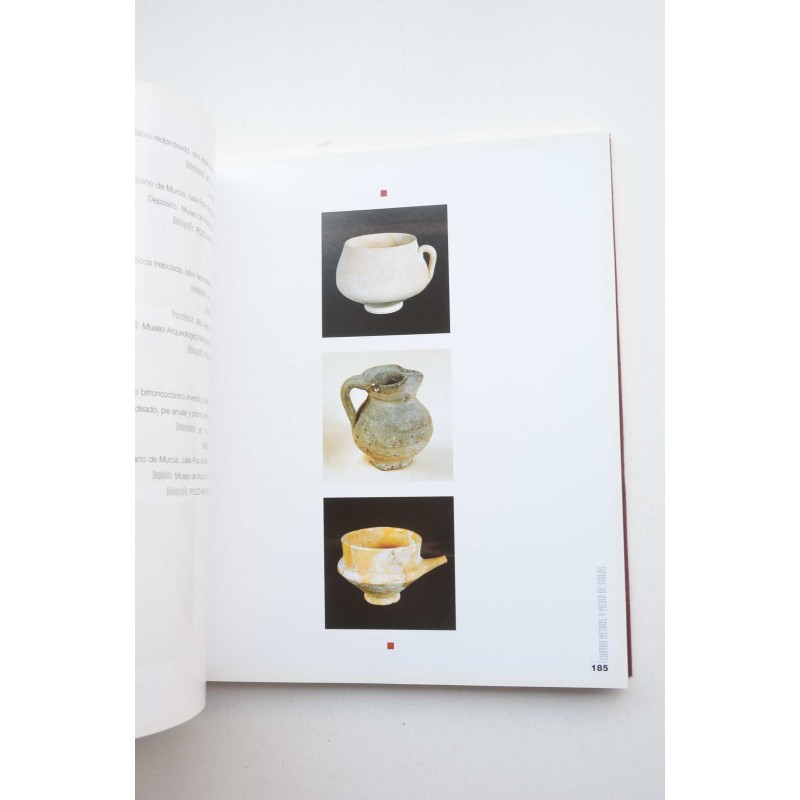 Paraisos perdidos : patios y claustros