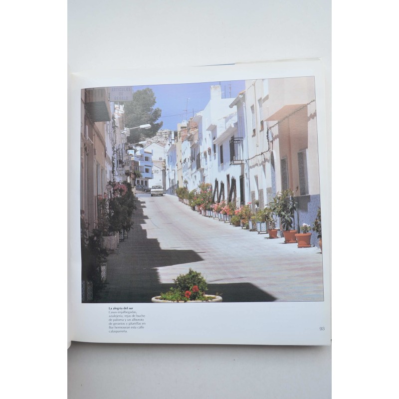 Las ciudades y pueblos de la Región de Murcia :...