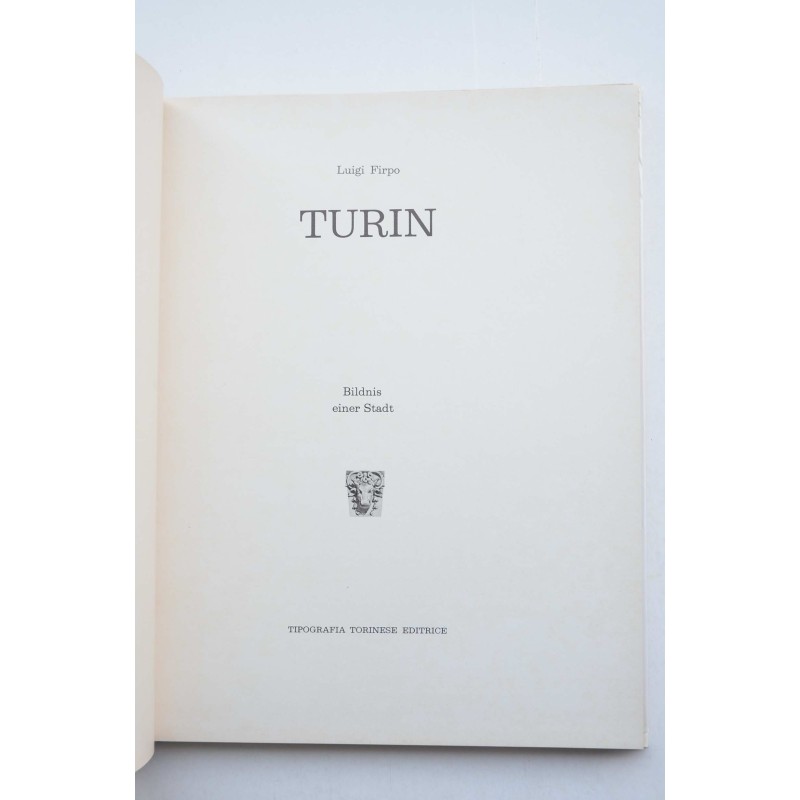 Turin : bildnis einer stadt