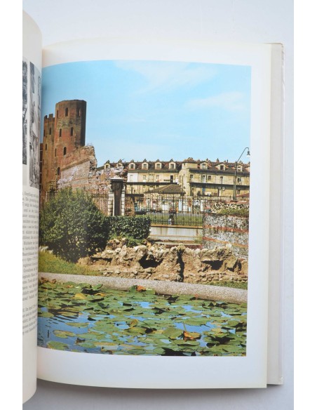 Turin : bildnis einer stadt