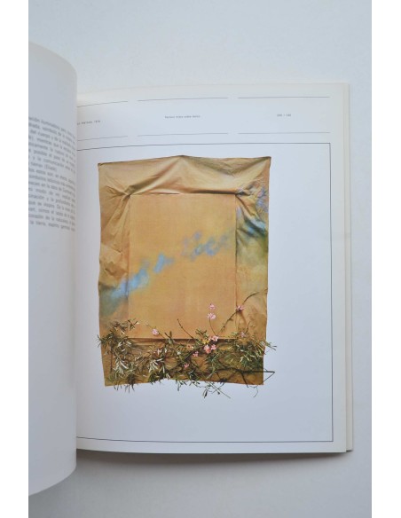 Guinovart. Catálogo de exposiciones. 1983