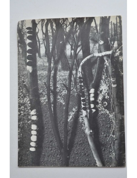 Guinovart. Catálogo. Galería Maeght, 1977