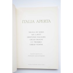 Italia aperta : Nicola de Maria, Sol LeWitt, Hidetoshi... 2