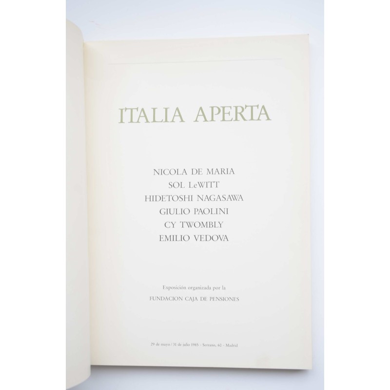 Italia aperta : Nicola de Maria, Sol LeWitt,...