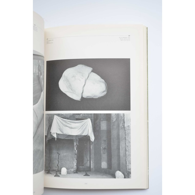 Italia aperta : Nicola de Maria, Sol LeWitt,...