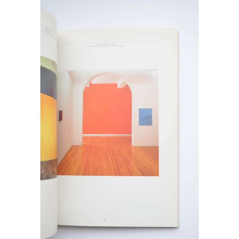 Italia aperta : Nicola de Maria, Sol LeWitt,...