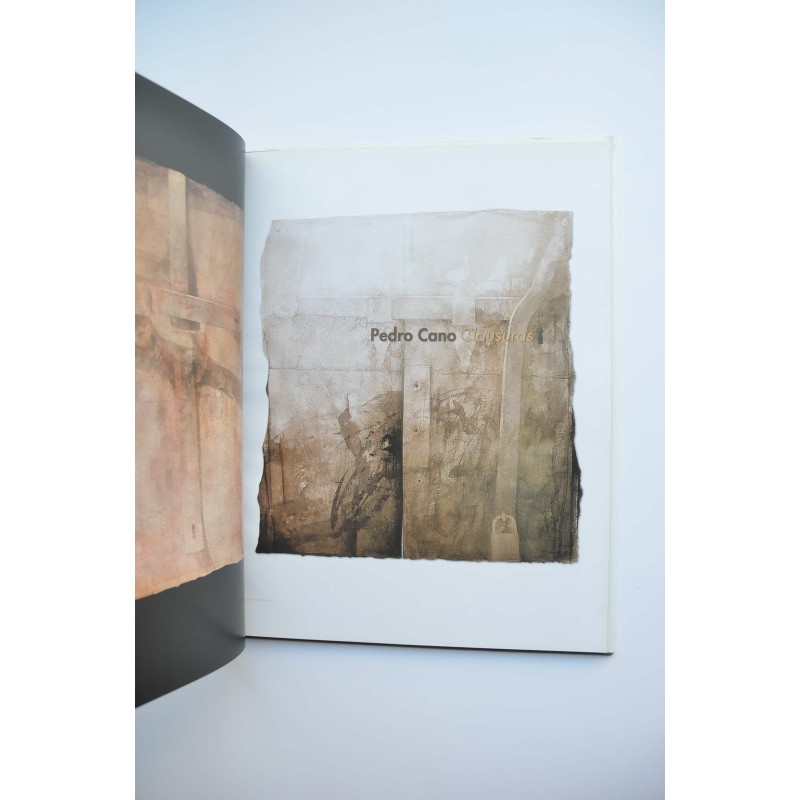 Pedro Cano : clausuras : catálogo de la...