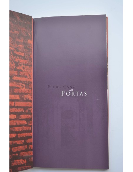 Pedro Cano : portas : exposiciones de Roma y Cartagena, 2000