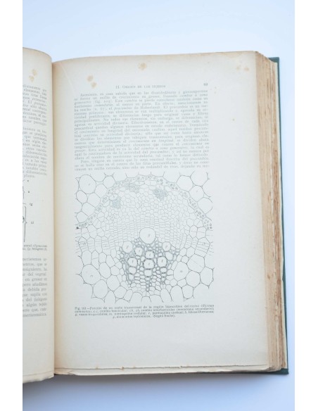 Manual completo de biología moderna macro y microscópica