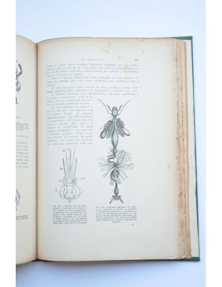 Manual completo de biología moderna macro y microscópica