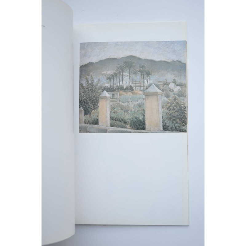 Museo Ramón Gaya : catálogo segunda donación,...