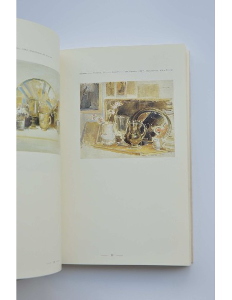 Ramón Gaya y los libros