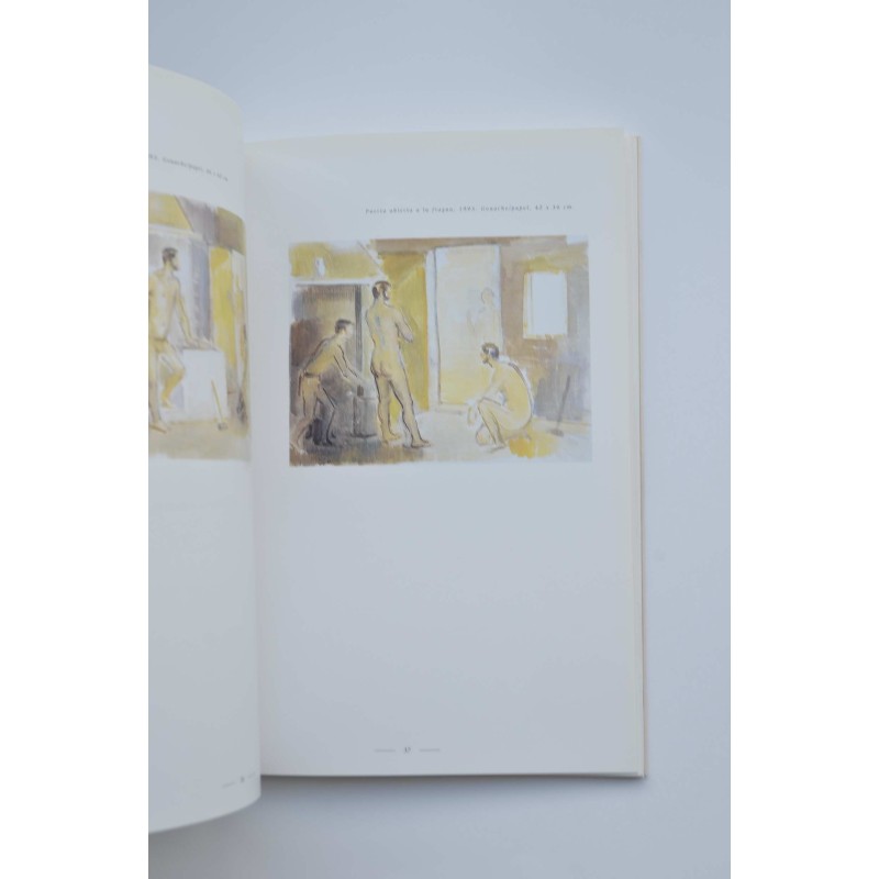 Ramón Gaya y los museos