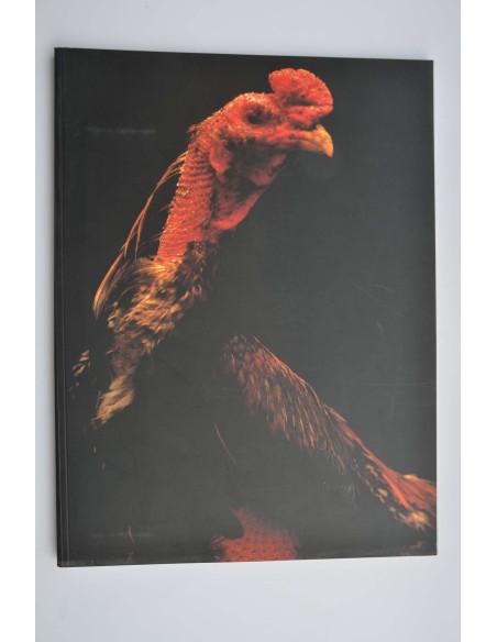 Matador Vol. CH. : revista de cultura, ideas y tendencias, 1998