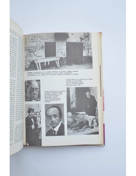 Historia básica de la España actual : 1800-1973