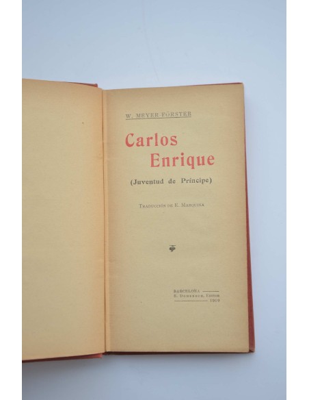 Carlos Enrique. Juventud de Príncipe